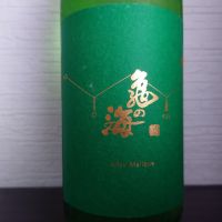 亀の海