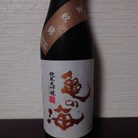 亀の海