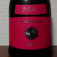 新政