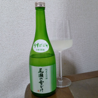 尾瀬の雪どけ