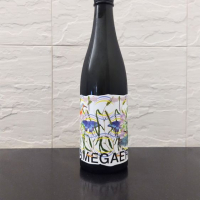 AMEGAERI