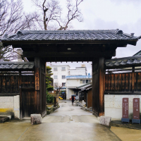 甲子のレビュー by_Kaorinrin