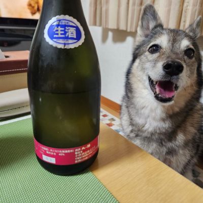 北斗随想のレビュー by_そうそうの
