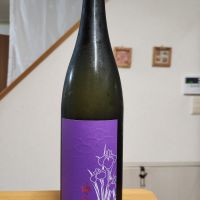 山の井
