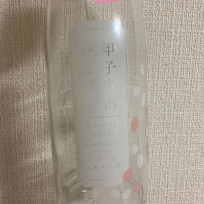 甲子のレビュー by_atsu hagi