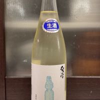 紫宙