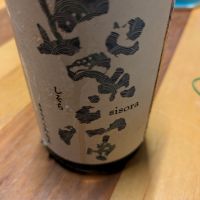 紫宙