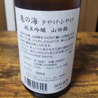 亀の海のレビュー by_skrjw