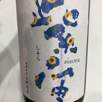 紫宙