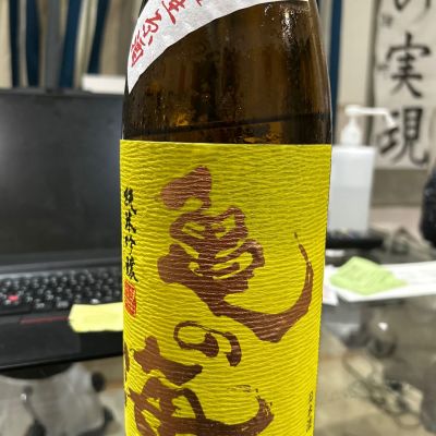 亀の海のレビュー by_Bucchus