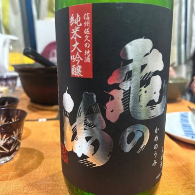 亀の海のレビュー by_Bucchus