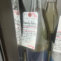 Bunraku Rebornのレビュー by_Bucchus