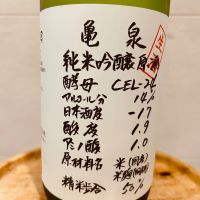 
            亀泉_
            Bucchusさん