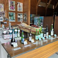 松みどりのレビュー by_Bucchus