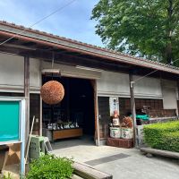 松みどりのレビュー by_Bucchus