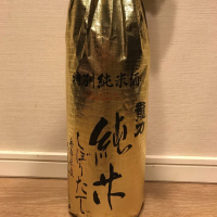 龍力