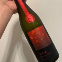 電照菊