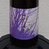 
            風の森_
            コマッチョメ4世さん