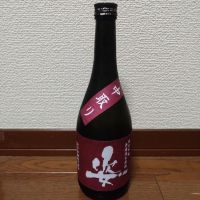 姿