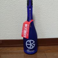 HIZIRIZM