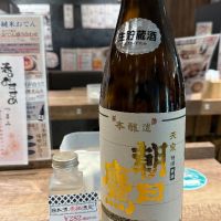 朝日鷹