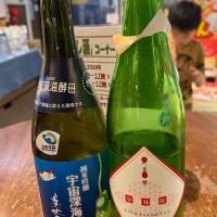 司牡丹