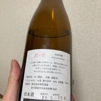 朝日栄のレビュー by_多羅尾伴子