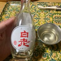 白老