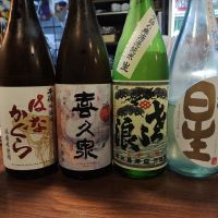 琵琶のさゝ浪