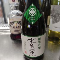 水芭蕉
