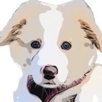 金木犀　貞吉
