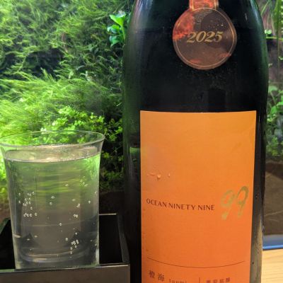 OCEAN99のレビュー by_酔拳師