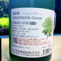 光栄菊のレビュー by_酔拳師