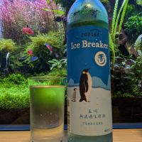 Ice Breaker