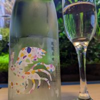 
            鳳凰美田_
            酔拳師さん