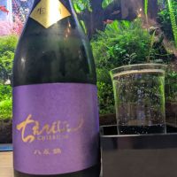 
            ちえびじん_
            酔拳師さん