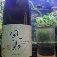 
            風の森_
            酔拳師さん