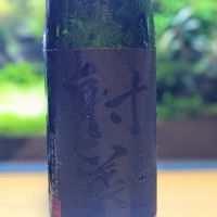 射美