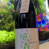 
            風の森_
            酔拳師さん