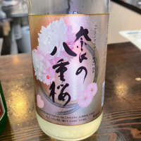 春鹿