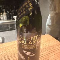 SILENT GALAXY