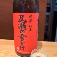 尾瀬の雪どけ
