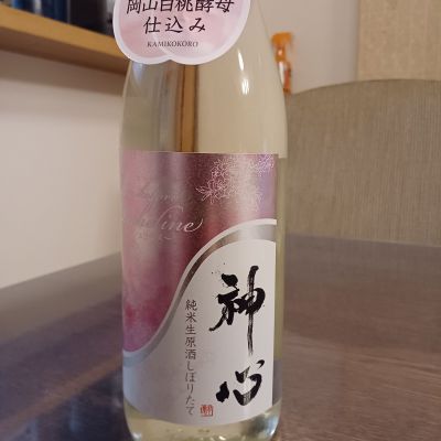 神心のレビュー by_ましゃのぶ