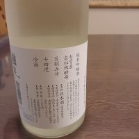 真澄のレビュー by_ましゃのぶ