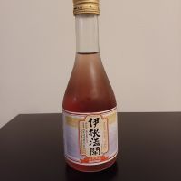 伊根満開