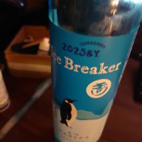 Ice Breaker