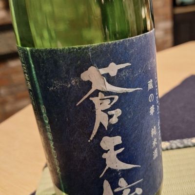 蒼天伝のレビュー by_Gankithi09