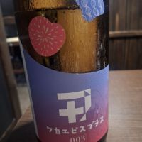 ワカエビスプラス