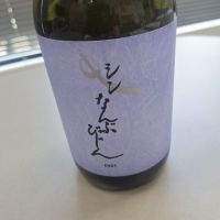 南部美人