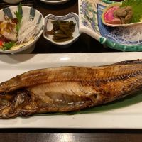 北斗随想のレビュー by_ほいりげ